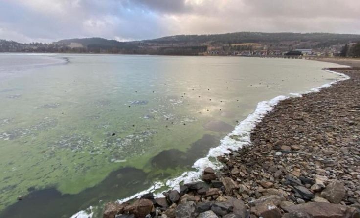 Tips-Leser Josef Pühringer hat das grüne Eis fotografiert. (Foto: Josef Pühringer)