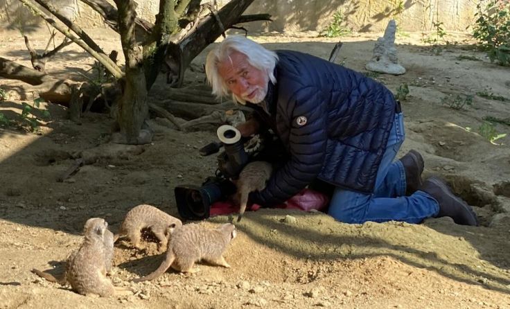 Bei den Erdmännchen im Linzer Zoo ist immer was los. (Foto: Jutta Anna Wirth)