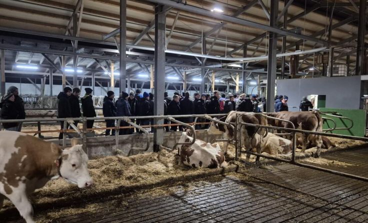 Der neue Laufstall am Betrieb Hofer (Foto: Bezirks-Jungbauern Rohrbach)