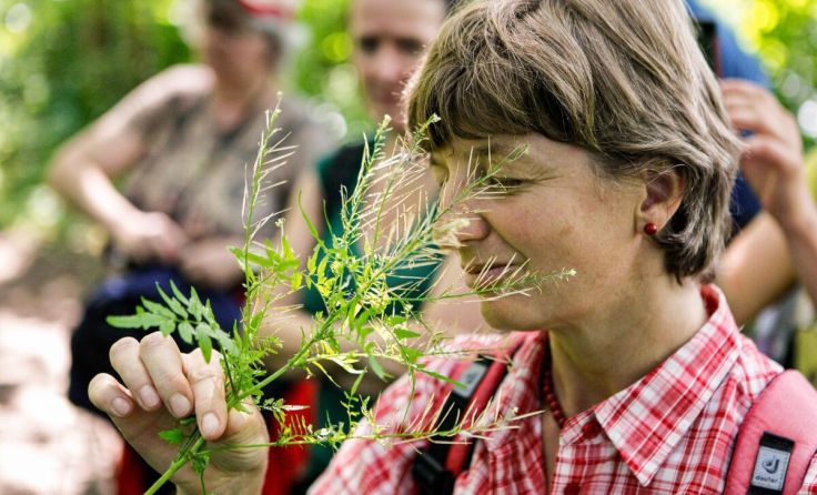 Kräuterwissen entdecken (Foto: Naturschauspiel)