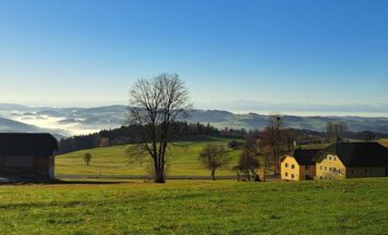 Natur top, Öffis flop: Was die Menschen im Bezirk Rohrbach bewegt