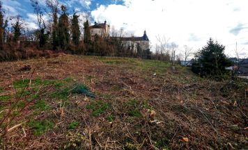 Hotelpläne am Ottensheimer Schlossberg: So geht es nach Verkehrsgutachten weiter