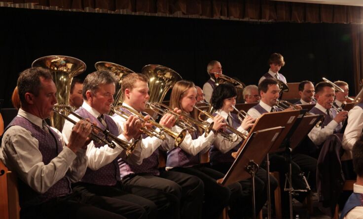 Die Sarleinsbacher Musiker sorgen für Hörgenuss der Extraklasse.