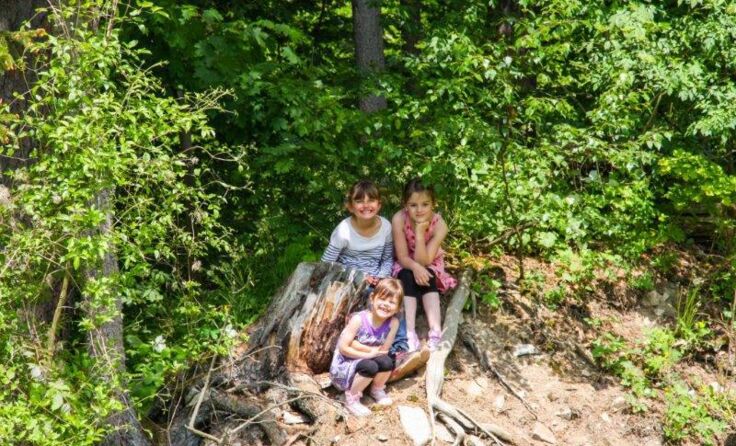 Ein Rundgang im Wald wird für kleine und große Besucher zum Erlebnis. Foto: Zauner