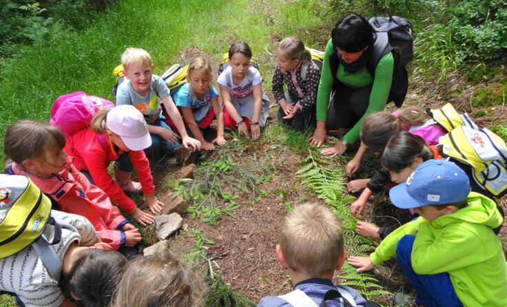 Kinder aus Julbach im Mühlviertel und Julbach in Bayern erkundeten gemeinsam den Böhmerwald.