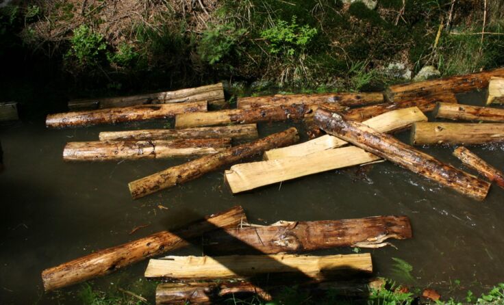 Am Schwarzenbergischen Schwemmkanal geht die Saison wieder zu Ende. Foto: TVB Böhmerwald
