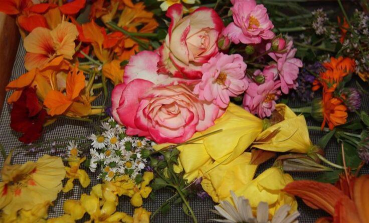 Aus duftenden Blüten werden schöne Mitbringsel. Foto: Winklehner 