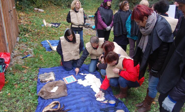 20 Lehrer erfuhren in der Waldschule Donauschlinge Interessantes zum Thema Biber.