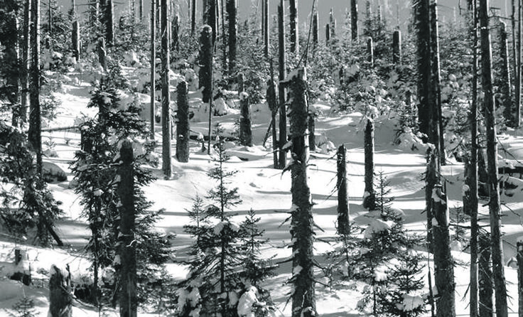 Ein Dokumentarfilm zeigt, wie sich Böhmen an ihre Heimat erinnern. 