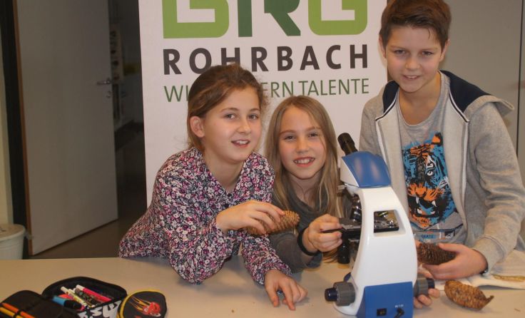 Eine vielfältige, fundierte Ausbildung ist am Gymnasium garantiert. Foto: BRG