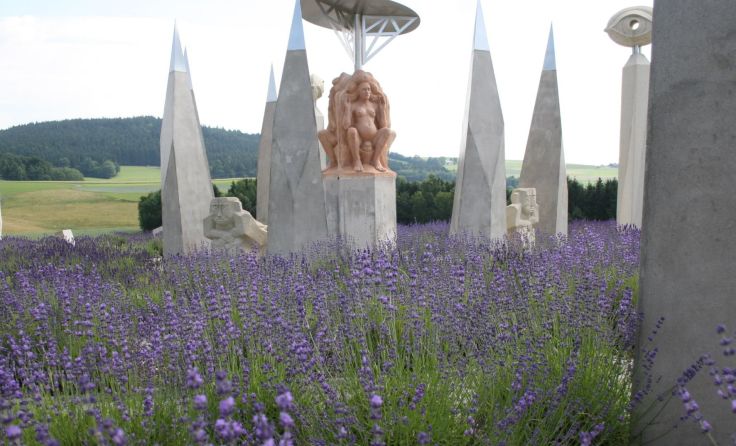 Lavendel ist heuer das Zeichen der Schönheit bei den Hofkirchner Labyrinthen. Foto: Gahleitner