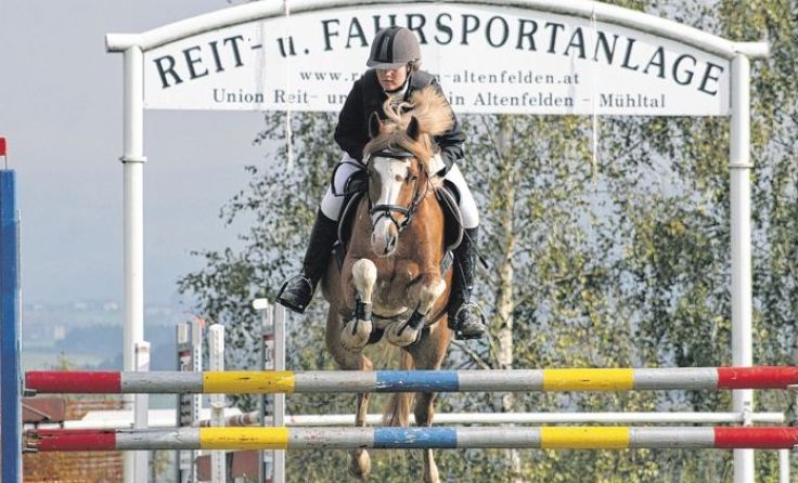 Springreiter treffen sich am Wochenende in Altenfelden. Foto: Gahleitner