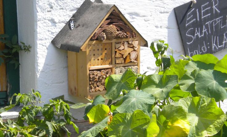 Beim nächsten Perma-Stammtisch wird ein Hotel für Wildbienen gebaut. 