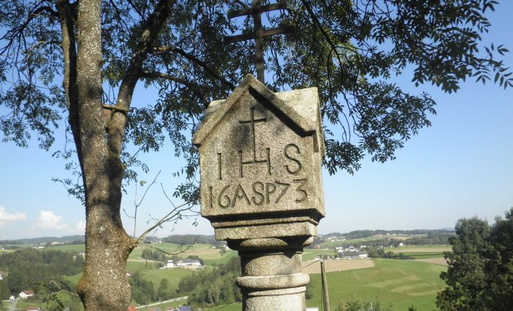 Marterln auf der Spur. Foto: Höretseder 