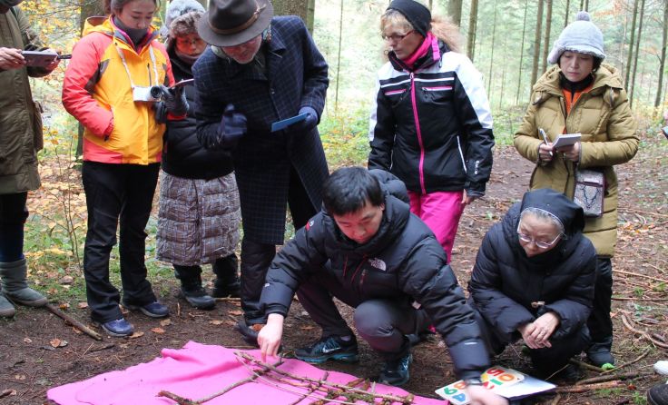 Gäste aus Südkorea lernten, wie man die Natur zum Rechnen nutzen kann. Foto: Gahleitner