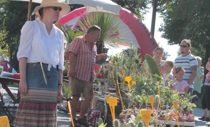 Der Kräuterkirtag sorgte für Diskussionen in Klaffer. 