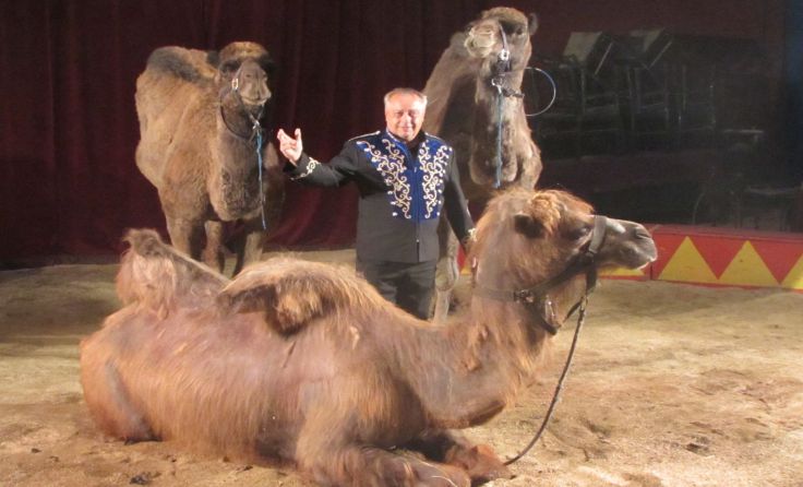 Eine zweistündige Zirkusreise voller Attraktionen steht bevor. Foto: Circus Althoff