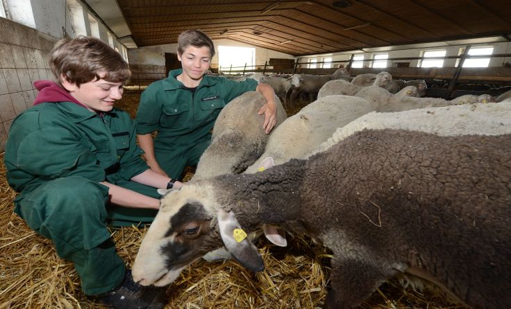 Praxisunterricht an der Bioschule Schlägl. Foto: Bioschule Schlägl