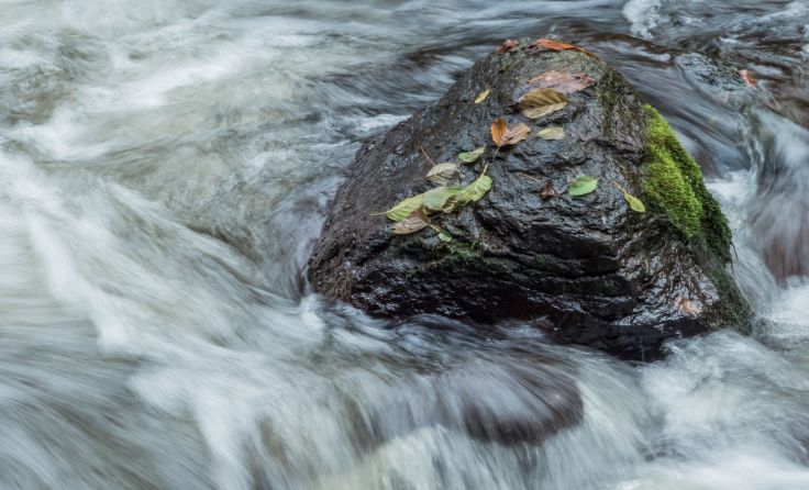 Wasser als Lebensgrundlage entdecken Foto: Wodicka