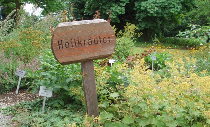 Verdauungsstark und darmgesund mit Heilkräutern Foto: Müller
