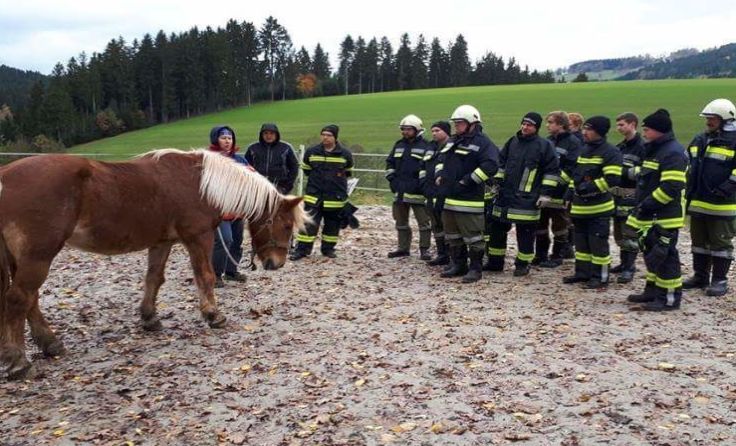 Feuerwehr-Kameraden sind auch für ungewöhnliche Einsätze gewappnet. Foto: FF St. Johann