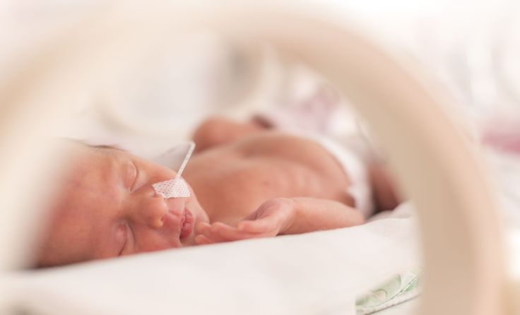 Frühchen haben keinen leichten Start ins Leben. Foto: OndroM/Shutterstock.com
