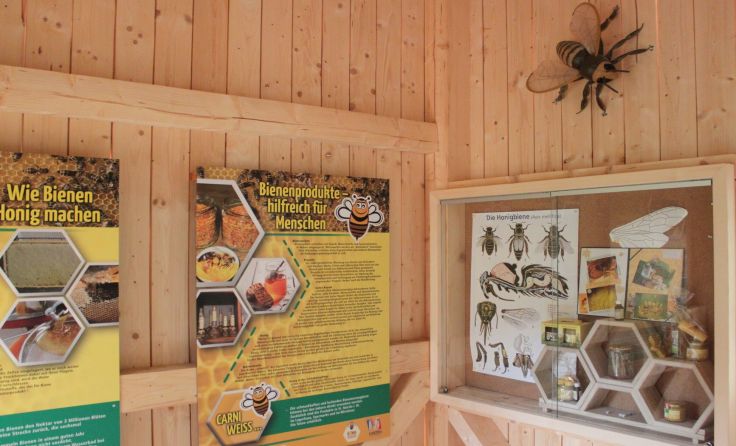 In der begehbaren Bienenwabe gibt es jede Menge Wissenswertes zu erfahren.