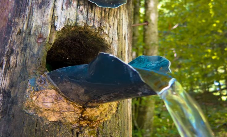 Ob und wieviel Wasser abgepumpt werden darf, wird von den Behörden überprüft. Foto: Wodicka