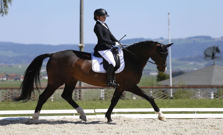 Katharina Mittermayr auf Artax vom Reitverein Altenfelden Foto: Team Myrtill