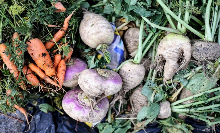 Der Wunsch der Konsumenten und die Realität im Supermarkt klaffen oft auseinander. Foto: Weihbold