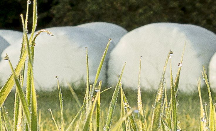 Gebrauchte Silofolien werden zu neuen Folien und Säcken. Foto: B. Donner