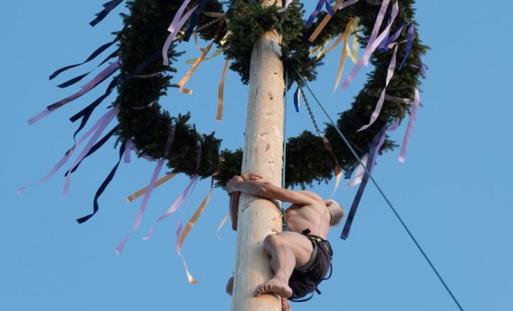 Beim Rohrbach-Berger Maibaum geht‘s wieder hoch hinauf. Foto: Josef Madlmayr