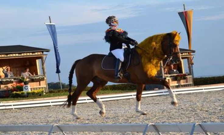 Reiter und Pferd im Kostüm zeigen beim Premser ihre Musikkür. Foto: Lüthje