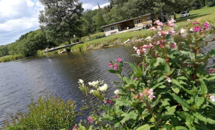Ausgezeichnete Wasserqualität hat die Michö in Ulrichsberg. Foto: Andrea Jungbauer