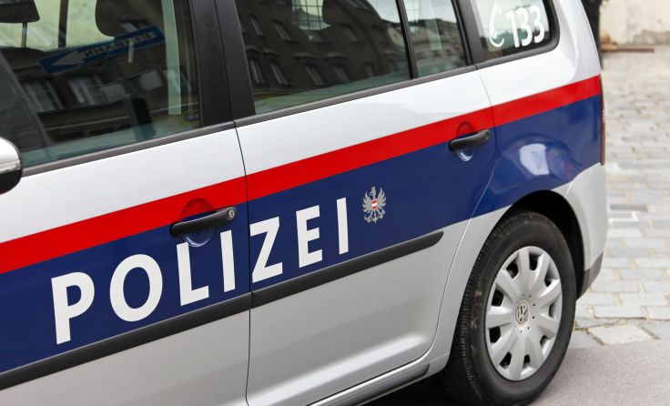 Die Polizei musste zwei Streithähne beruhigen. Foto: Wodicka