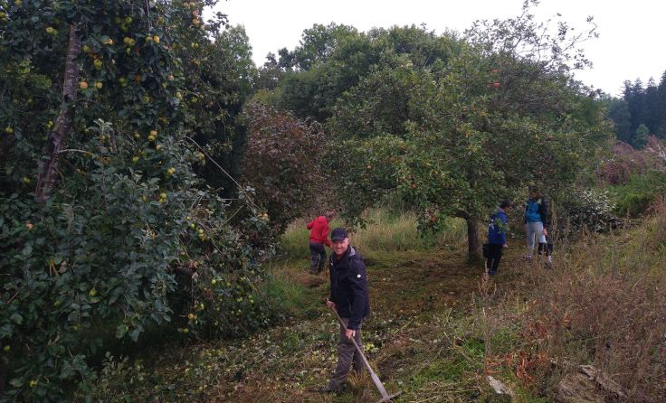 Bei einem ersten Arbeitseinsatz wurde die ungenutzte Fläche auf Vordermann gebracht. Foto: Peer