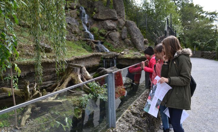 Mittelschüler bei den naturwissenschaftlichen Kennenlerntagen in Salzburg Foto: TNMS Helfenberg