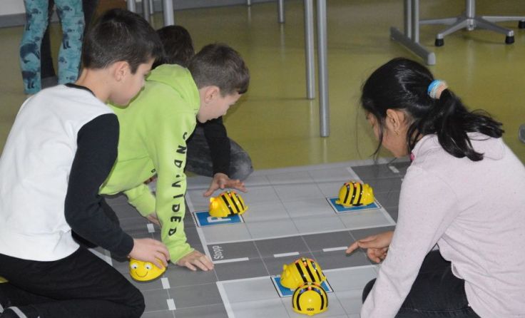 Hofkirchner Schüler lassen die Beebots tanzen. Foto: Arnezeder