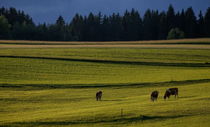 Landwirte müssen sich auf weniger Niederschläge und heißere Tage einstellen. Foto: Weihbold
