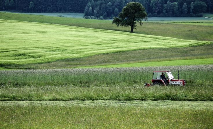 In den nächsten Tagen werden wohl die Mäharbeiten beginnen. Symbolbild: Weihbold