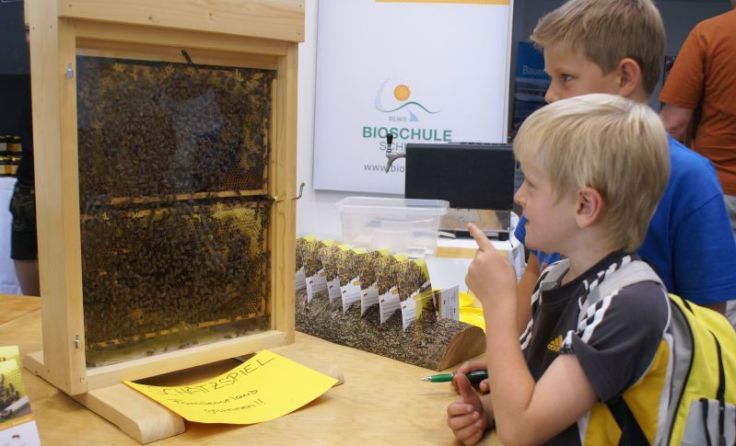 Die Imkerei ist eines der Themenfelder, die Schülern vermittelt werden. Foto: Bioschule Schlägl