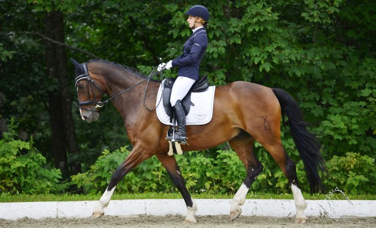 Reiten in seiner schönsten Form Foto: RC Böhmerwald