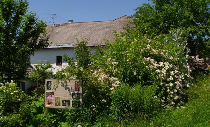 Der Böhmerwaldgarten bietet Platz für eine vielfältige Fauna und Flora. Foto: Müller
