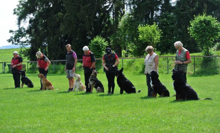 Folgsame Hunde sind das Ziel. Foto: SVÖ Rohrbach-Berg