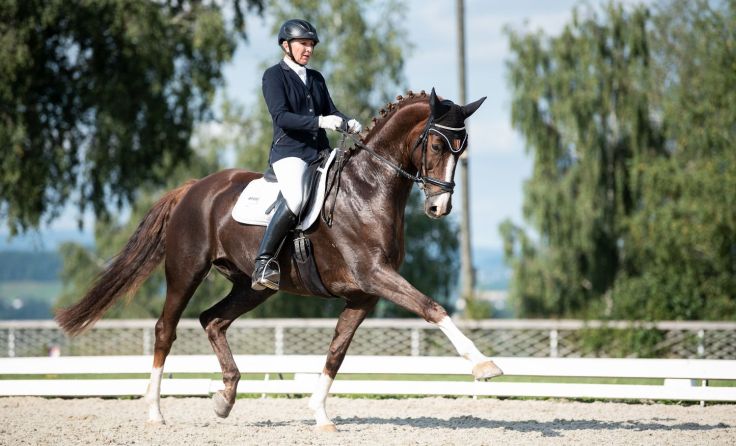 Petra Krinninger vom Reitverein Altenfelden auf Luxano Foto: Johanna Fleischanderl