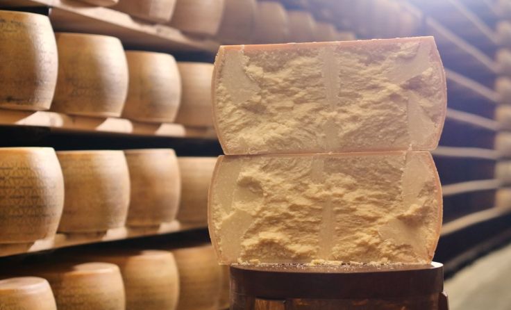 Parmesan-Produzenten werden direkt unterstützt. Foto: HQuality/Shutterstock.com