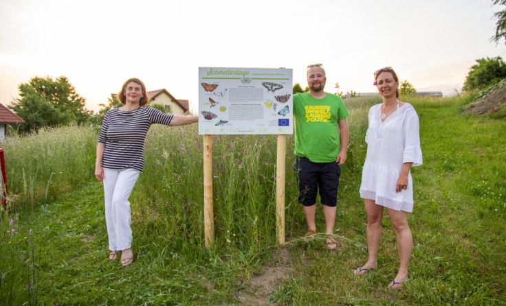 Bei der Schmetterlingswiese fühlen sich Insekten und Menschen wohl. (Foto: Grüne St. Martin)