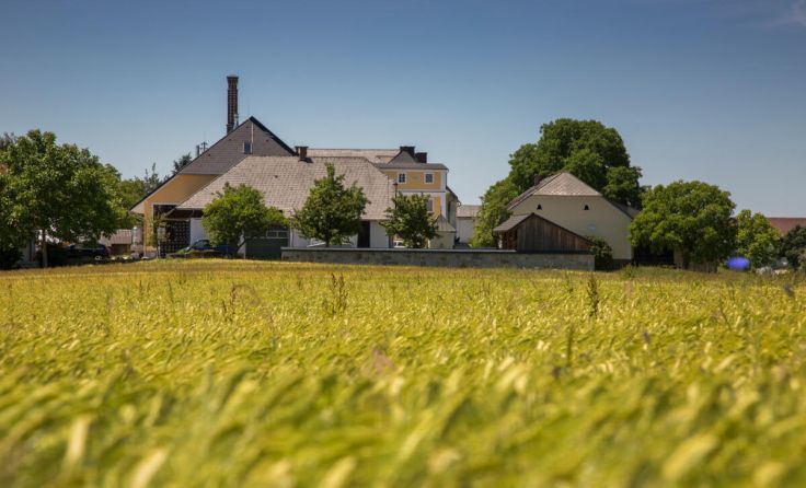 In der Brauerei Hofstetten wird mit regionalen Rohstoffen Bier gebraut. (Foto: Brauerei Hofstetten)