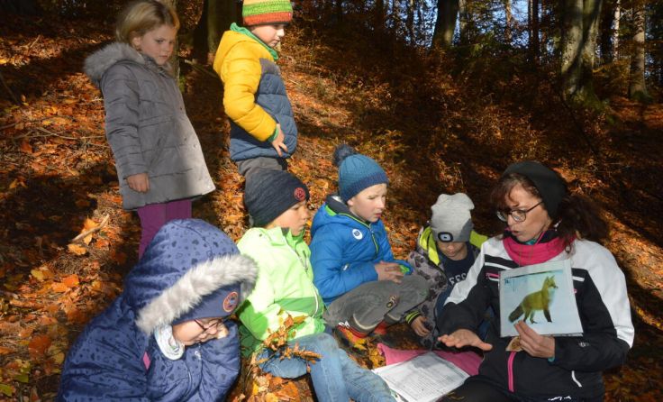Silvia Luger-Linke geht mit Kindern auf Entdeckungsreise im Wald. (Foto: VS Niederkappel)