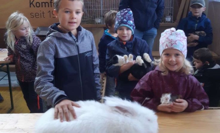Vor allem beim Streichelzoo herrschte Andrang. Foto: Kleintierzuchtverein Haslach